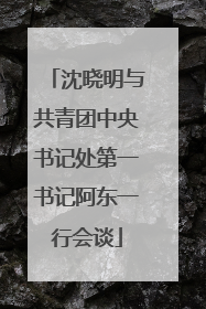 沈晓明与共青团中央书记处第一书记阿东一行会谈
