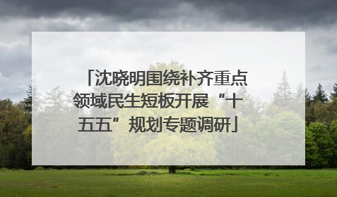 沈晓明围绕补齐重点领域民生短板开展“十五五”规划专题调研