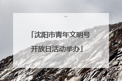 沈阳市青年文明号开放日活动举办