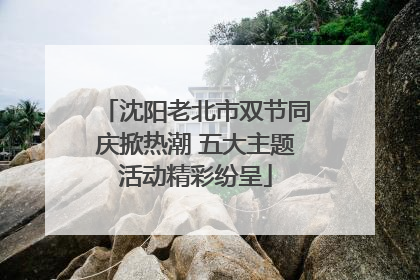 沈阳老北市双节同庆掀热潮 五大主题活动精彩纷呈