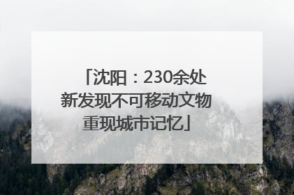 沈阳：230余处新发现不可移动文物重现城市记忆