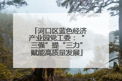 河口区蓝色经济产业园党工委：“三强”提“三力”赋能高质量发展
