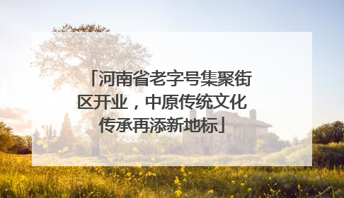 河南省老字号集聚街区开业，中原传统文化传承再添新地标