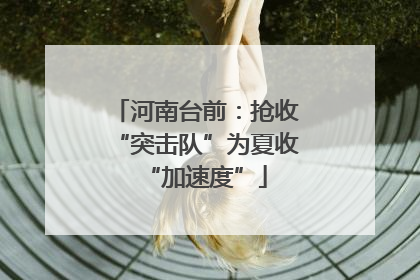 河南台前：抢收“突击队”为夏收“加速度”