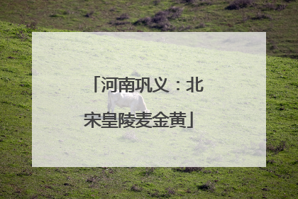 河南巩义：北宋皇陵麦金黄