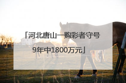 河北唐山一购彩者守号9年中1800万元