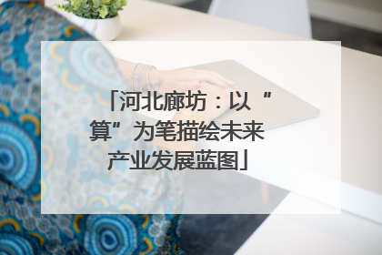 河北廊坊：以“算”为笔描绘未来产业发展蓝图