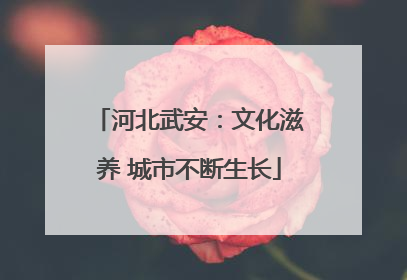 河北武安：文化滋养 城市不断生长