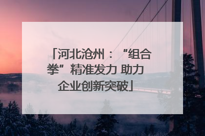河北沧州：“组合拳”精准发力 助力企业创新突破