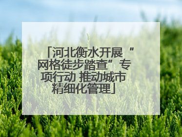 河北衡水开展“网格徒步踏查”专项行动 推动城市精细化管理