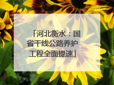 河北衡水：国省干线公路养护工程全面提速