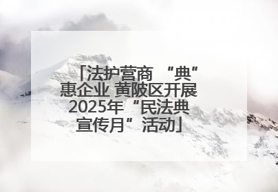 法护营商 “典”惠企业 黄陂区开展2025年“民法典宣传月”活动