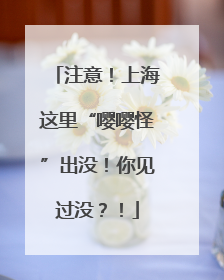 注意！上海这里“嘤嘤怪”出没！你见过没？！