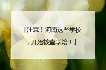 注意！河南这些学校，开始核查学籍！