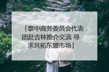 泰中商务委员会代表团赴吉林推介交流 寻求共拓东盟市场