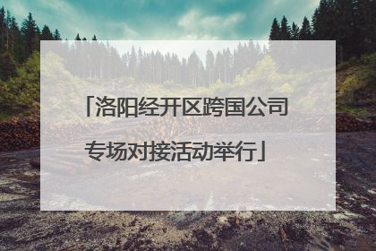 洛阳经开区跨国公司专场对接活动举行