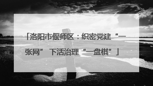 洛阳市偃师区：织密党建“一张网” 下活治理“一盘棋”