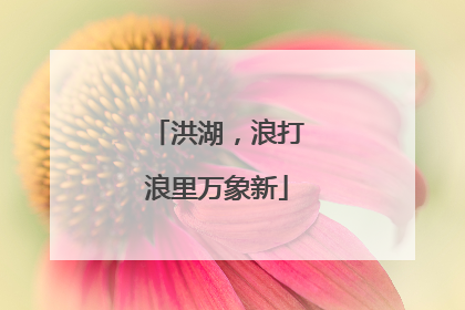 洪湖，浪打浪里万象新