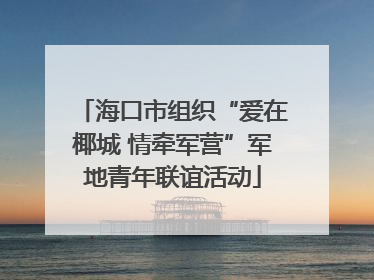 海口市组织“爱在椰城 情牵军营”军地青年联谊活动