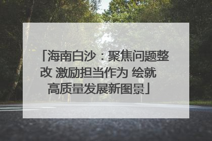 海南白沙：聚焦问题整改 激励担当作为 绘就高质量发展新图景