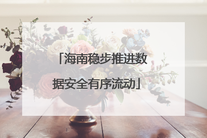 海南稳步推进数据安全有序流动