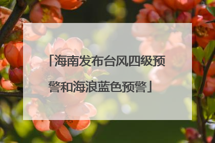 海南发布台风四级预警和海浪蓝色预警