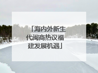 海内外新生代闽商热议福建发展机遇