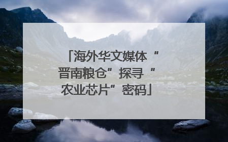 海外华文媒体“晋南粮仓”探寻“农业芯片”密码