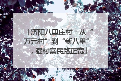 济阳八里庄村：从“万元村”到“新八里”，强村富民路正宽