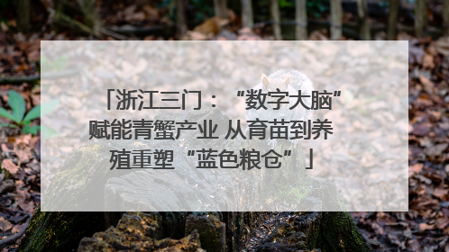 浙江三门：“数字大脑”赋能青蟹产业 从育苗到养殖重塑“蓝色粮仓”