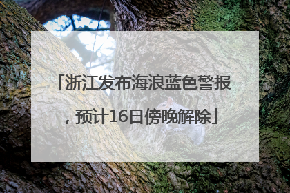 浙江发布海浪蓝色警报，预计16日傍晚解除