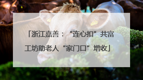 浙江嘉善：“连心扣”共富工坊助老人“家门口”增收