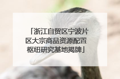 浙江自贸区宁波片区大宗商品资源配置枢纽研究基地揭牌