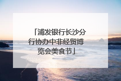 浦发银行长沙分行协办中非经贸博览会美食节