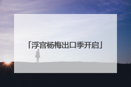 浮宫杨梅出口季开启
