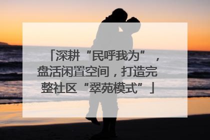 深耕“民呼我为”，盘活闲置空间，打造完整社区“翠苑模式”