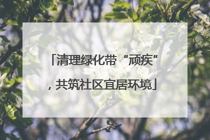 清理绿化带“顽疾”，共筑社区宜居环境