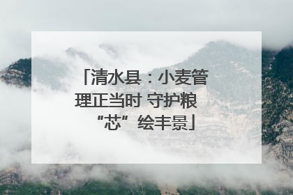 清水县：小麦管理正当时 守护粮“芯”绘丰景