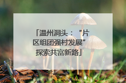 温州洞头：“片区组团强村发展”探索共富新路