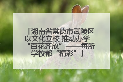 湖南省常德市武陵区以文化立校 推动办学“百花齐放”——每所学校都“精彩”