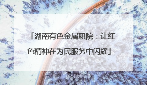 湖南有色金属职院：让红色精神在为民服务中闪耀