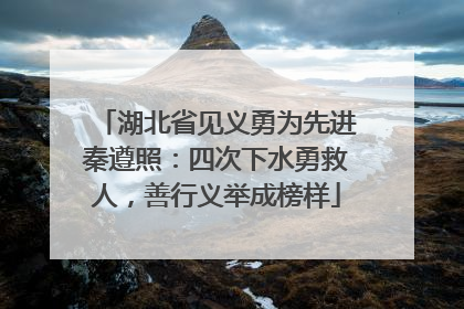 湖北省见义勇为先进秦遵照：四次下水勇救人，善行义举成榜样