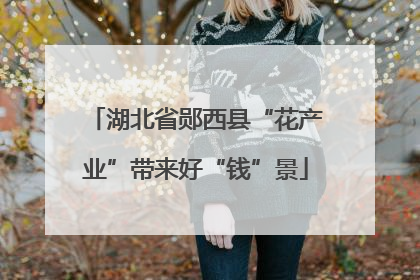 湖北省郧西县“花产业”带来好“钱”景