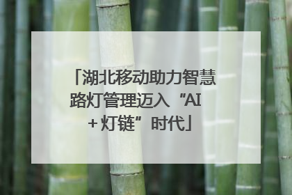 湖北移动助力智慧路灯管理迈入“AI＋灯链”时代