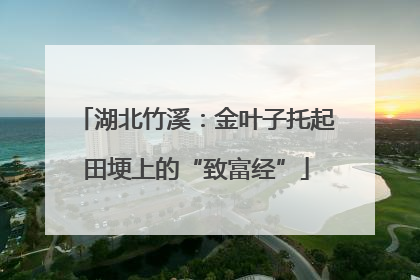 湖北竹溪：金叶子托起田埂上的“致富经”