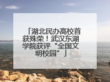 湖北民办高校首获殊荣！武汉东湖学院获评“全国文明校园”