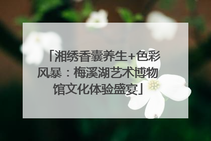 湘绣香囊养生+色彩风暴：梅溪湖艺术博物馆文化体验盛宴