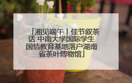 湘见端午丨佳节叙茶话 中南大学国际学生国情教育基地落户湖南省茶叶博物馆