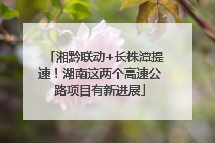 湘黔联动+长株潭提速！湖南这两个高速公路项目有新进展