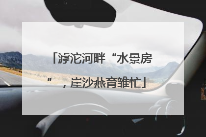 滹沱河畔“水景房”，崖沙燕育雏忙
